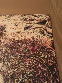 Widespread Panic - Miles Tsang DAWN Poster Print St. Louis MO Peabody Opera Gig Posters 12 Widespread Panic - Miles Tsang DAWN Poster Print St. Louis MO Peabody Opera Gig Posters