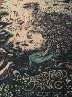 Widespread Panic - Miles Tsang DUSK Poster Print St. Louis MO Peabody Opera Gig Posters