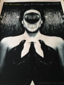 The Dead Weather 07/29/2009 Rob Jones Poster Print Chicago Vic Night 2 S/N