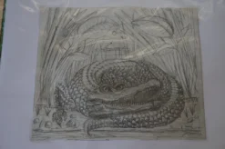 Art Prints The Enormous Crocodile - 2015 Zeb Love Original Sketch Drawing 13 Art Prints The Enormous Crocodile - 2015 Zeb Love Original Sketch Drawing