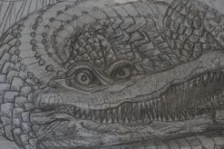 Art Prints The Enormous Crocodile - 2015 Zeb Love Original Sketch Drawing 14 Art Prints The Enormous Crocodile - 2015 Zeb Love Original Sketch Drawing