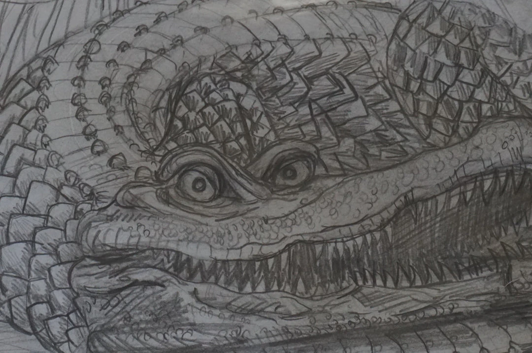 Art Prints The Enormous Crocodile - 2015 Zeb Love Original Sketch Drawing 6 Art Prints The Enormous Crocodile - 2015 Zeb Love Original Sketch Drawing