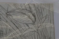 Art Prints The Enormous Crocodile - 2015 Zeb Love Original Sketch Drawing 16 Art Prints The Enormous Crocodile - 2015 Zeb Love Original Sketch Drawing