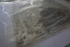 Art Prints The Enormous Crocodile - 2015 Zeb Love Original Sketch Drawing 19 Art Prints The Enormous Crocodile - 2015 Zeb Love Original Sketch Drawing