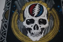 Grateful Dead - 2015 Alan Forbes Poster Chicago, IL Steal Your Face 13 Grateful Dead - 2015 Alan Forbes Poster Chicago, IL Steal Your Face