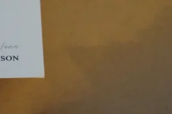 Grateful Dead - 2015 Alan Forbes Poster Chicago, IL Steal Your Face 18 Grateful Dead - 2015 Alan Forbes Poster Chicago, IL Steal Your Face