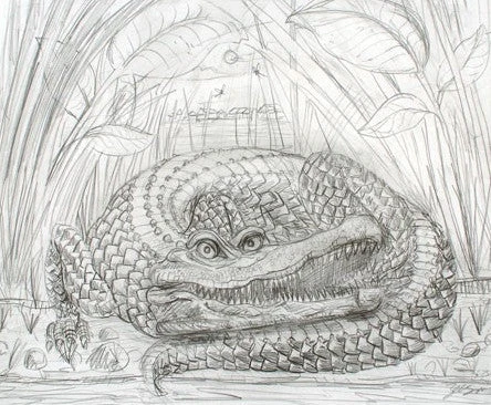 Art Prints The Enormous Crocodile - 2015 Zeb Love Original Sketch Drawing 3 Art Prints The Enormous Crocodile - 2015 Zeb Love Original Sketch Drawing