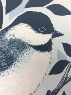 Black Capped Chickadee (Poecile Atricapillus) - 2015 Justin Santora Poster Art P