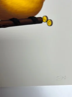 Fat Bird - 2019 Mike Mitchell Poster Wire-tailed Manakin Variant