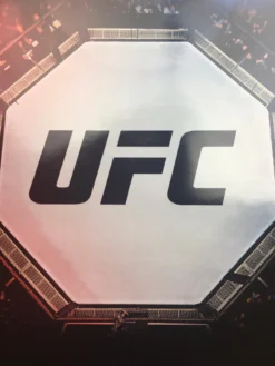 Sold Out Posters UFC 239, 240, 241 & 242 2019 Poster 7 Sold Out Posters UFC 239, 240, 241 & 242 2019 Poster