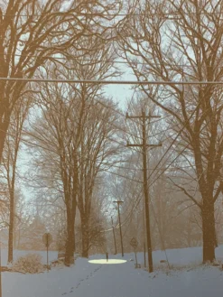 Quiet Snow Filled The Air - 2017 Dan McCarthy Poster, Art Print