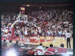Sold Out Posters The Chicago Bulls - 1991 Brad Bennett Michael Jordan Poster Original Vintage