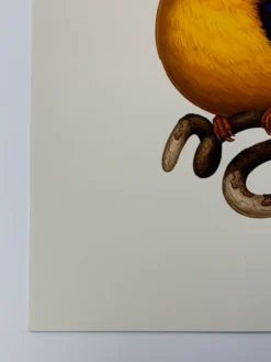 Fat Bird - 2020 Mike Mitchell Poster Rufous-Backed Dwarf Kingfisher 1st Art Prints 13 Fat Bird - 2020 Mike Mitchell Poster Rufous-Backed Dwarf Kingfisher 1st Art Prints