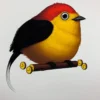 Fat Bird - 2019 Mike Mitchell Poster Wire-tailed Manakin 1st Art Prints