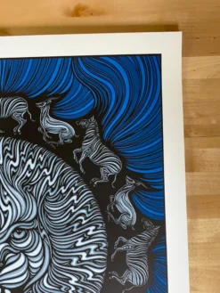 Passion Pit - 2013 Todd Slater Poster Cary, NC Booth Amphitheater Gig Posters