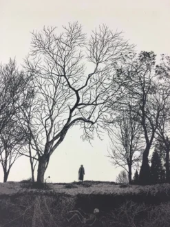 Wish You Were Here - 2011 Dan McCarthy Poster Art Print Art Prints