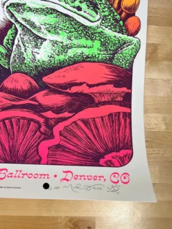 Colorado Disco Biscuits - 2022 Nathaniel Deas Poster Denver, CO Mission 12 Colorado Disco Biscuits - 2022 Nathaniel Deas Poster Denver, CO Mission