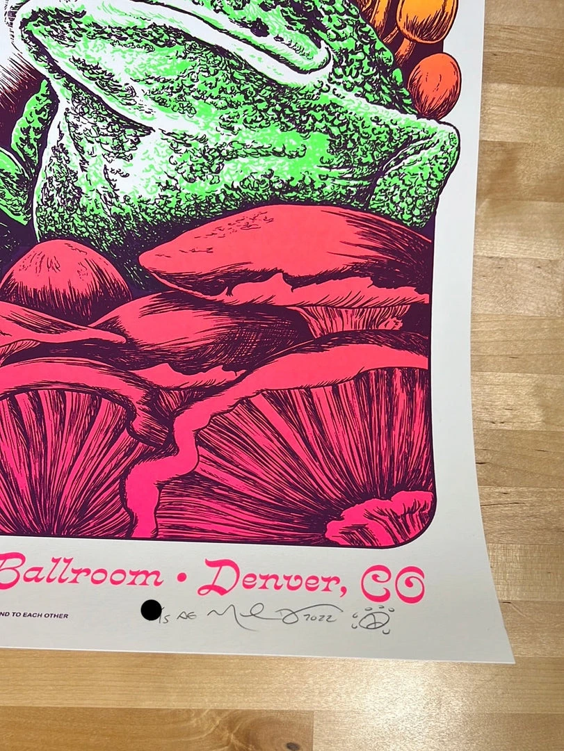 Colorado Disco Biscuits - 2022 Nathaniel Deas Poster Denver, CO Mission 7 Colorado Disco Biscuits - 2022 Nathaniel Deas Poster Denver, CO Mission