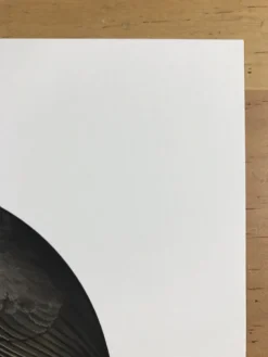 Fat Bird - 2017 Mike Mitchell Poster Himalayan Bulbul Art Prints