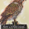 Gig Posters Ray Lamontagne - 2014 Dan Grzeca Poster Tucson, AZ Fox Theatre