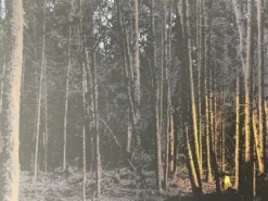 Art Prints It's Good To Warm My Bones Beside The Fire - 2011 Dan McCarthy Poster Art Print