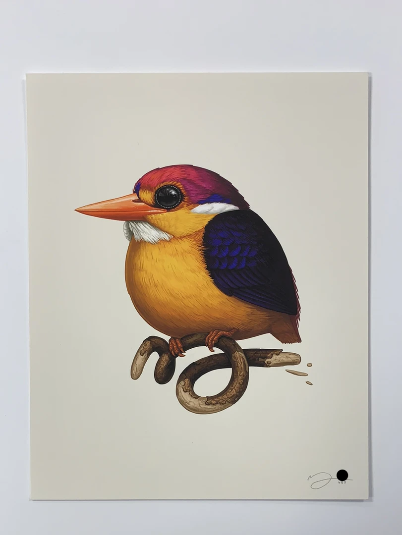 Fat Bird - 2020 Mike Mitchell Poster Rufous-Backed Dwarf Kingfisher 1st Art Prints 4 Fat Bird - 2020 Mike Mitchell Poster Rufous-Backed Dwarf Kingfisher 1st Art Prints