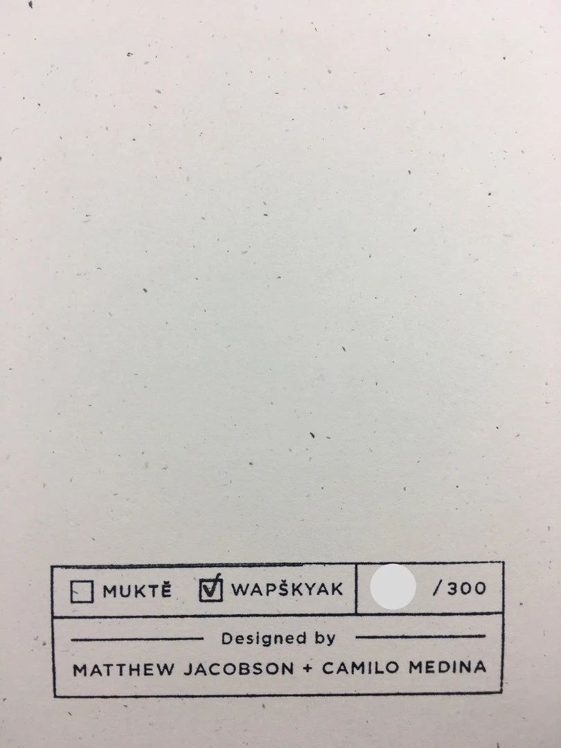 Jack White - 2014 Matthew Jacobson Poster Chicago, IL The Auditorium Theatre 11 Jack White - 2014 Matthew Jacobson Poster Chicago, IL The Auditorium Theatre