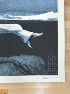 The Dead Weather - 2010 Rob Jones Poster Chicago, IL Congress Theater 12 The Dead Weather - 2010 Rob Jones Poster Chicago, IL Congress Theater