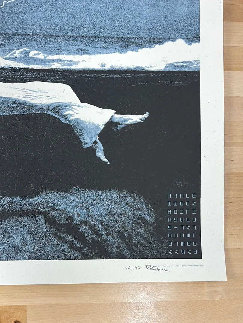 The Dead Weather - 2010 Rob Jones Poster Chicago, IL Congress Theater 7 The Dead Weather - 2010 Rob Jones Poster Chicago, IL Congress Theater