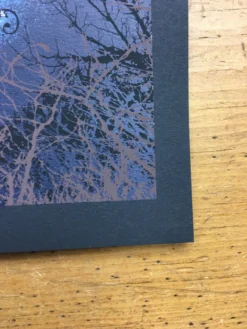 Zebulon Pike - 2006 Burlesque Of North America Art Print Art Prints