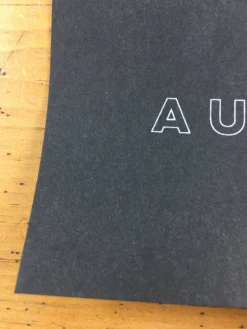 Zac Brown Band - 2017 Southern Reel Poster Austin Moody Theater Gig Posters