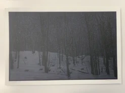 Art Prints Guiding Light - 2010 Dan McCarthy Poster Art Print