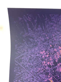 The Beacon Jams Ghosts Of The Forest - 2020 Daniel Danger Poster Trey Anastasio