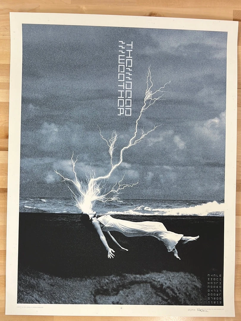 The Dead Weather - 2010 Rob Jones Poster Chicago, IL Congress Theater 4 The Dead Weather - 2010 Rob Jones Poster Chicago, IL Congress Theater