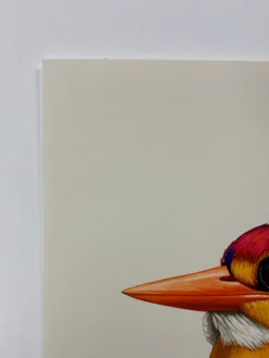 Fat Bird - 2020 Mike Mitchell Poster Rufous-Backed Dwarf Kingfisher 1st Art Prints 10 Fat Bird - 2020 Mike Mitchell Poster Rufous-Backed Dwarf Kingfisher 1st Art Prints