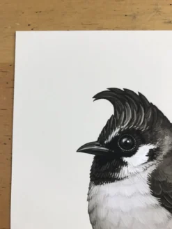 Fat Bird - 2017 Mike Mitchell Poster Himalayan Bulbul Art Prints