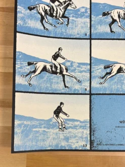 Jack White - 2012 Rob Jones Poster Asheville, NC Alabama Shakes Gig Posters