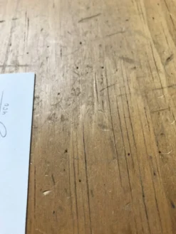 Fat Bird - 2017 Mike Mitchell Poster Himalayan Bulbul Art Prints