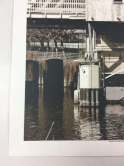 A.C. Newman - 2009 Dan MacAdam Crosshair Poster Chicago, IL Logan Square Auditor