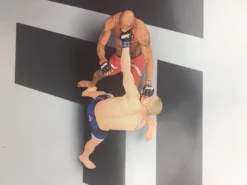 Sold Out Posters UFC 234 & 235 2019 Poster