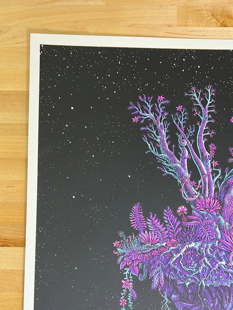 Widespread Panic - 2010 EMEK Poster Charleston, SC AP Gig Posters 5 Widespread Panic - 2010 EMEK Poster Charleston, SC AP Gig Posters