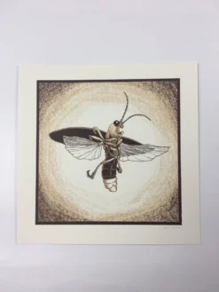 Common Firefly (Photinus Pyralis) - 2015 Justin Santora Poster Art Print