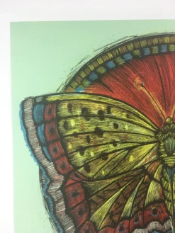 Wooden Resurrection Butterfly - 2013 Dan Grzeca Poster Art Print Art Prints