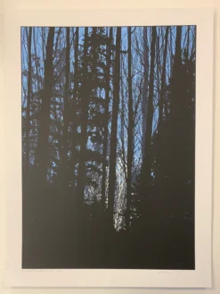 A Night In The Forest - 2010 Dan McCarthy Poster Art Print