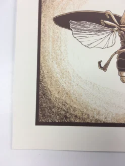 Common Firefly (Photinus Pyralis) - 2015 Justin Santora Poster Art Print