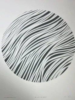 The Light We Reflect - 2021 Jay Ryan Poster Art Print