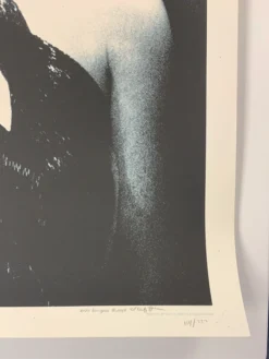 The Dead Weather 2009 Rob Jones Poster (with Damage) Chicago Vic Night 2 S/N Chicago, IL