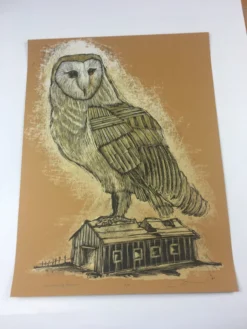Art Prints Reconstructed Barn Owl - 2013 Dan Grzeca Poster Art Print Burnt Orange