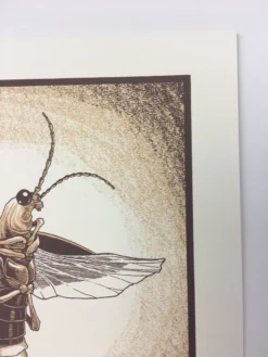 Common Firefly (Photinus Pyralis) - 2015 Justin Santora Poster Art Print