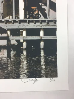 A.C. Newman - 2009 Dan MacAdam Crosshair Poster Chicago, IL Logan Square Auditor